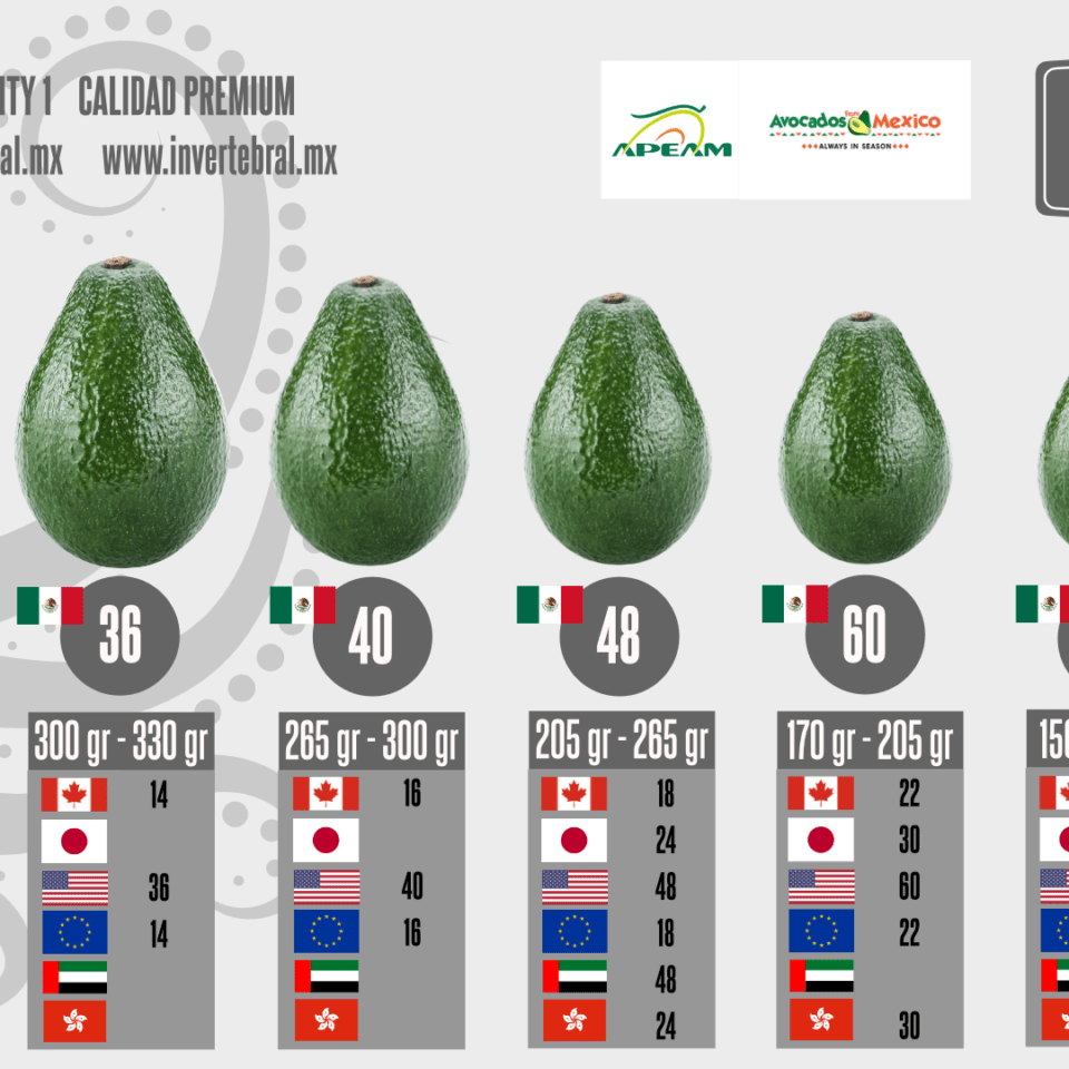2021 Mexican Hass Avocado Caliber Size Export Chart
